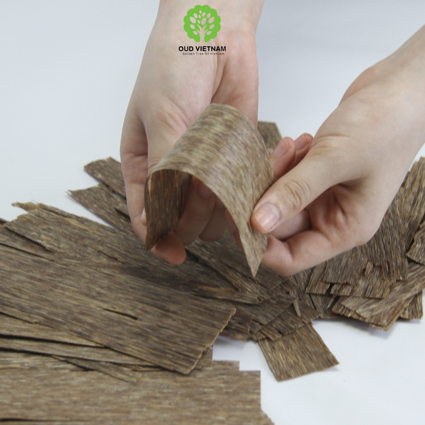 High Quality Vietnam Oud Chunks Wholesale Natural Wood Agarwood Incense Sticks Wood Fragrance Chips Agarwood