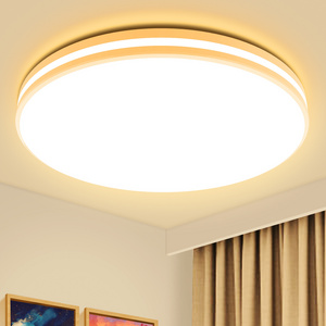 Spot goods 20W Contemporary Ceiling Light Fixture Led Indoor Home Lighting for All Rooms