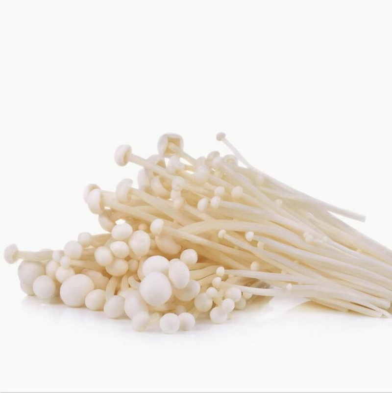 Wholesale price enoki mushroom in store for mushroom buyers