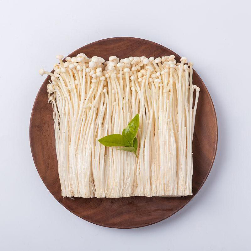 Golden supplier new crop needle mushroom enoki mushroom