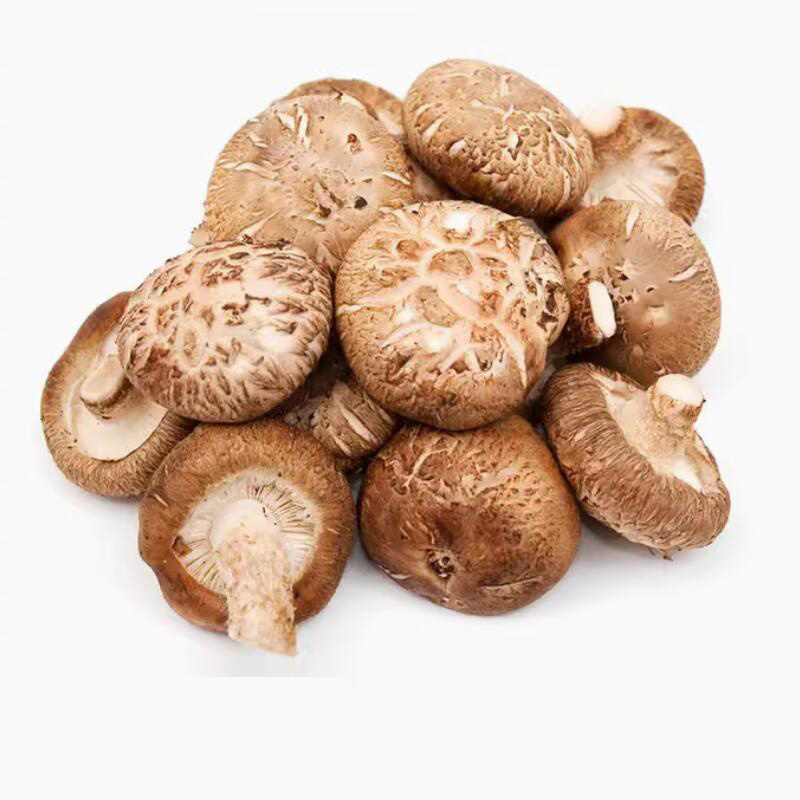 Wholesale price chinese mushroom buy shiitake mushrooms