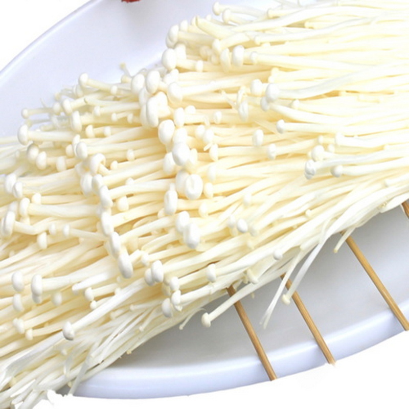 China factory wholesale price of the enoki mushroom