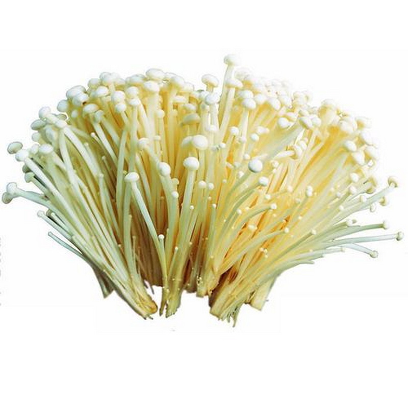 Wholesale fresh enoki mushroom price in store