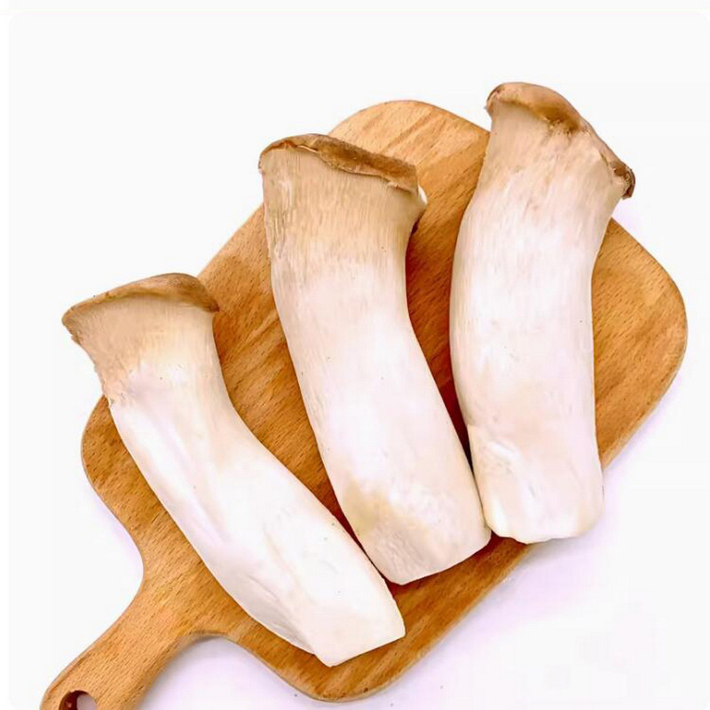 Golden mushroom supplies fresh king oyster mushroom