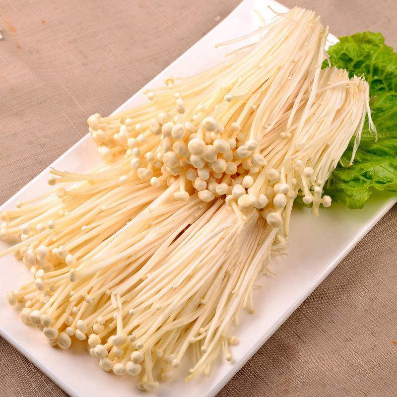 China wholesale price fresh enoki mushroom