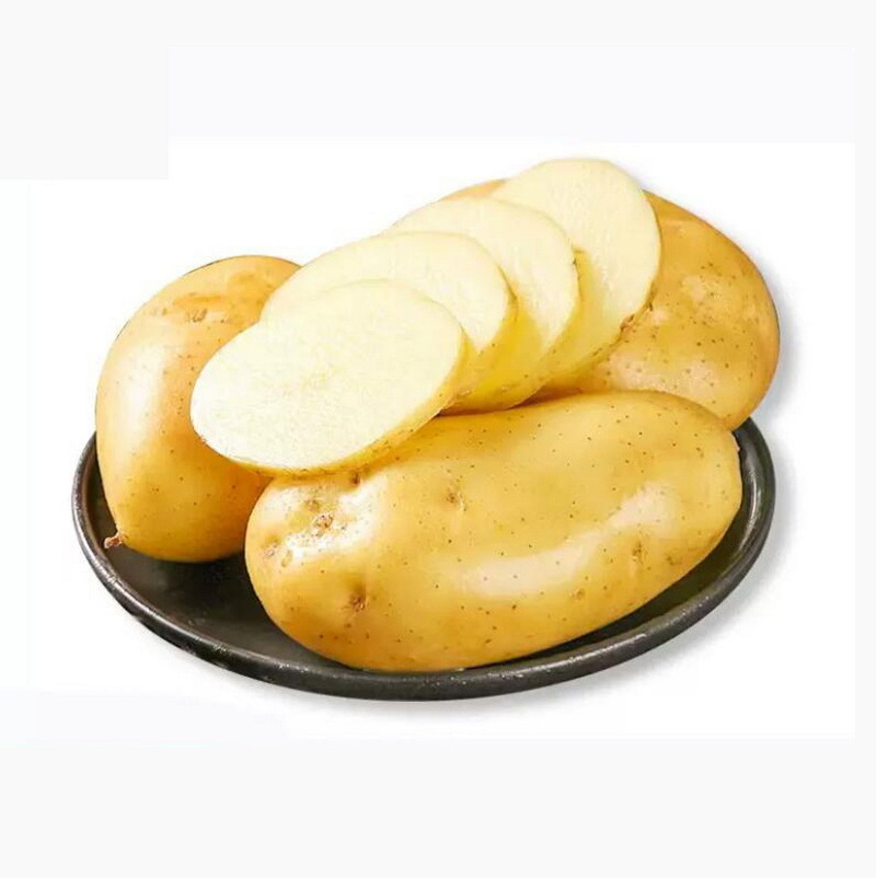 Fresh potato with high quality and good price potato powder