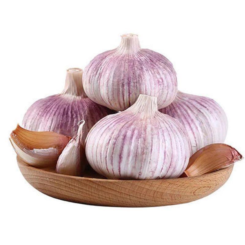 Wholesale price vegetables for supermarket of chinese solo garlic