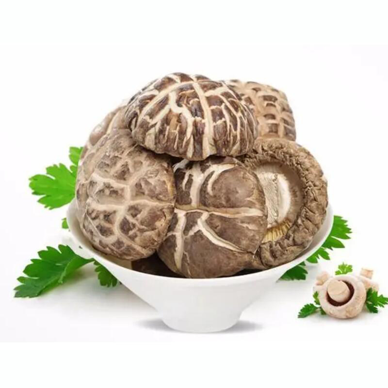 Wholesale price chinese mushroom buy shiitake mushrooms