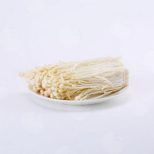 China factory wholesale price of the enoki mushroom