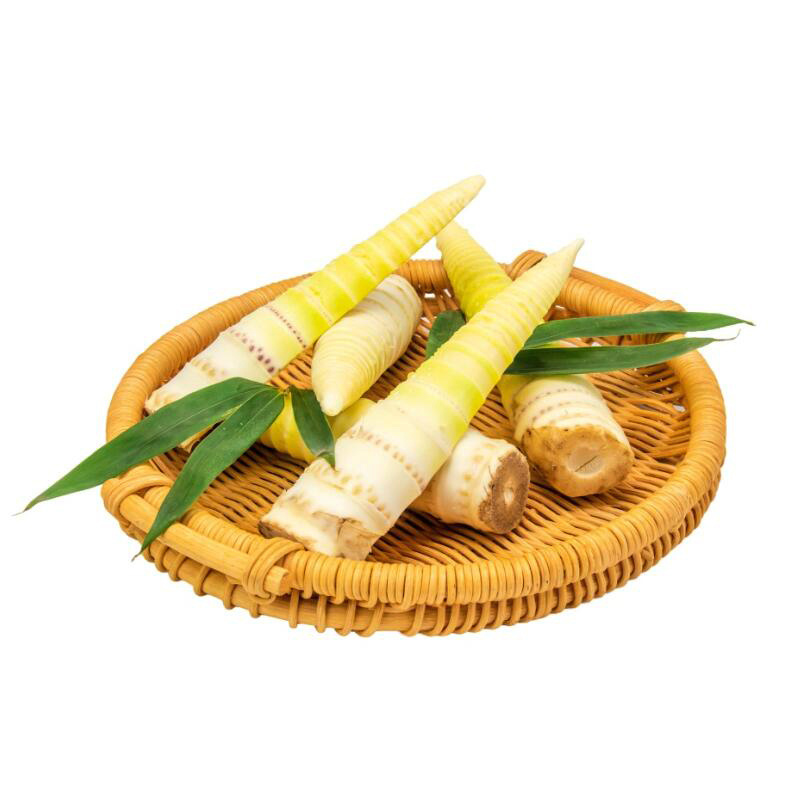 China factory vegetable products supply fresh bamboo shoot pickle