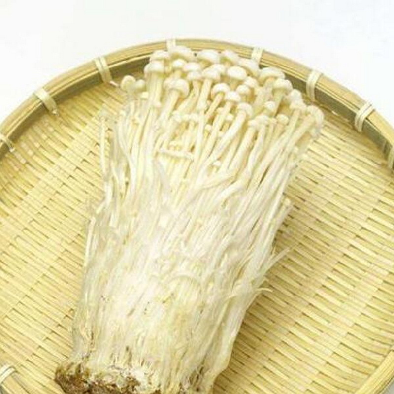 Golden supplier new crop needle mushroom enoki mushroom