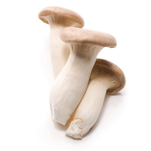 Golden mushroom supplies fresh king oyster mushroom