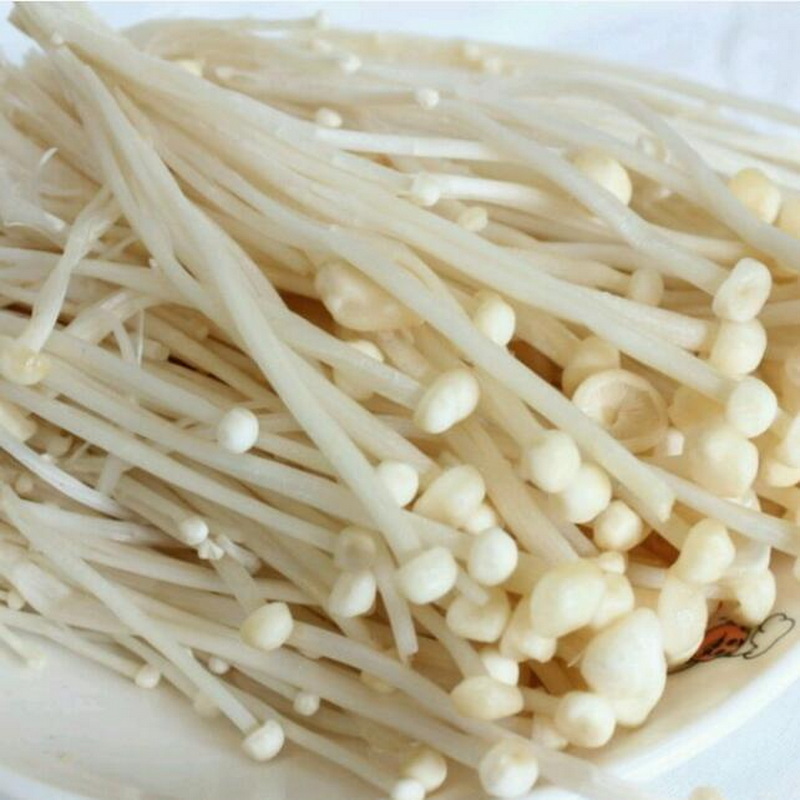 Golden mushroom supplies fresh enoki mushroom