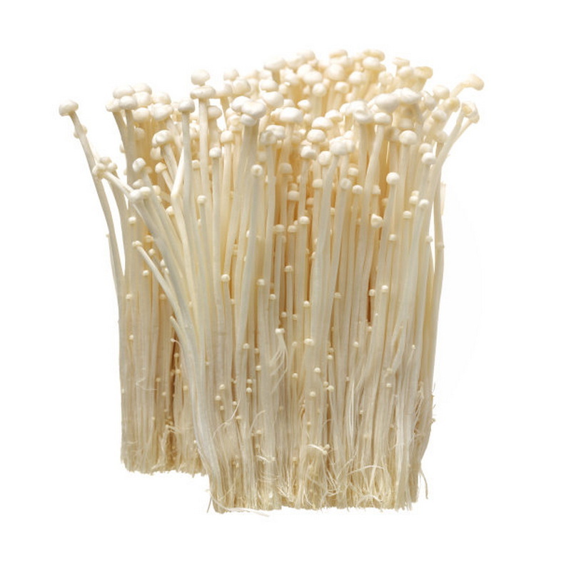 Wholesale fresh enoki mushroom price in store