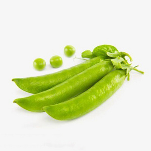 China sweet pea ISO and HACCP supplier frozen green peas