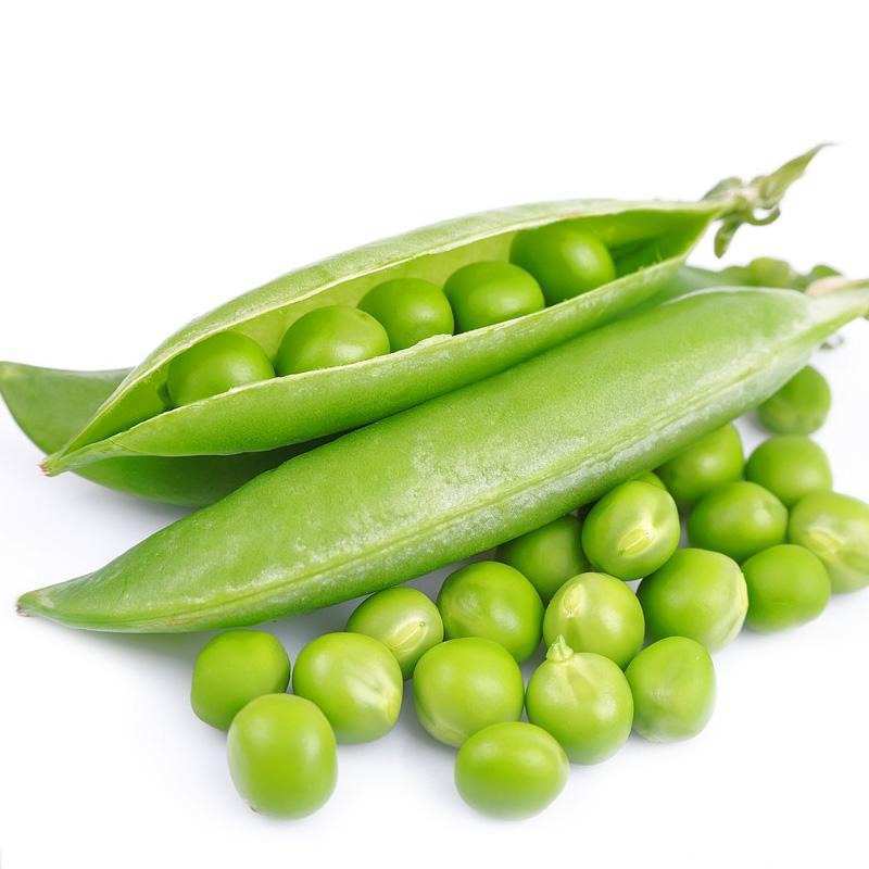 China sweet pea ISO and HACCP supplier frozen green peas