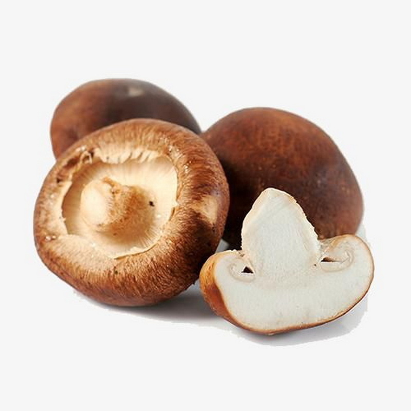 Food grade ISO and HACCP bulk mushroom of shiitake mushroom