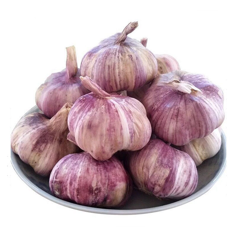 Wholesale price vegetables for supermarket of chinese solo garlic