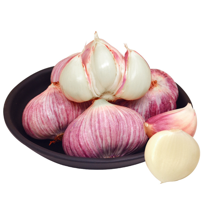 Wholesale price vegetables for supermarket of chinese solo garlic