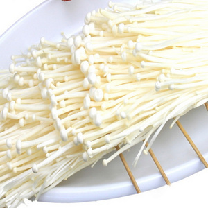 New crop of chinese fresh enoki mushroom manufacturers