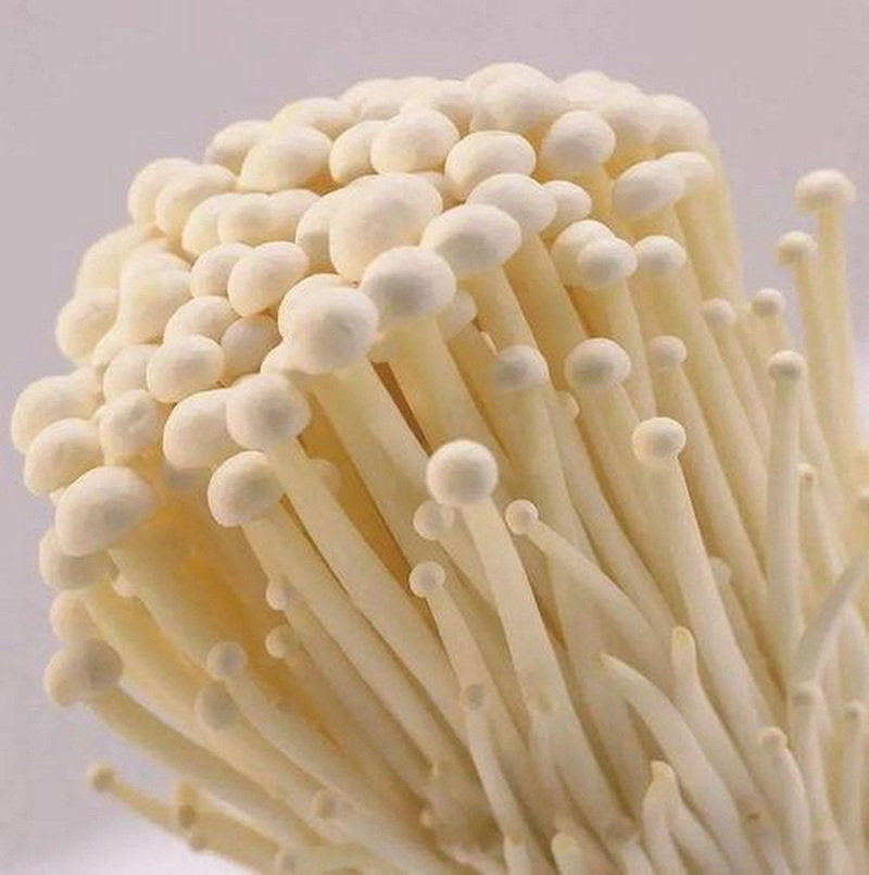 Wholesale price enoki mushroom in store for mushroom buyers