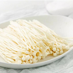 Golden mushroom supplies fresh enoki mushroom