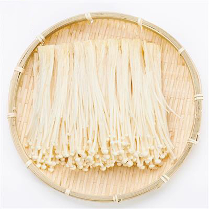 Wholesale price fresh mushroom of enoki mushroom high quality