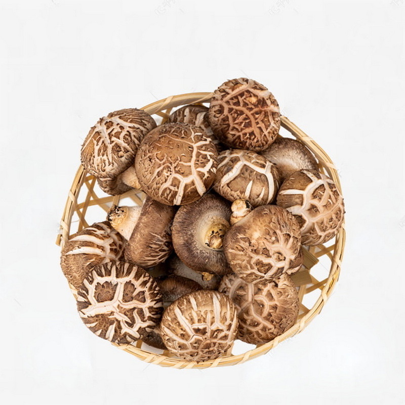 Wholesale price chinese mushroom buy shiitake mushrooms