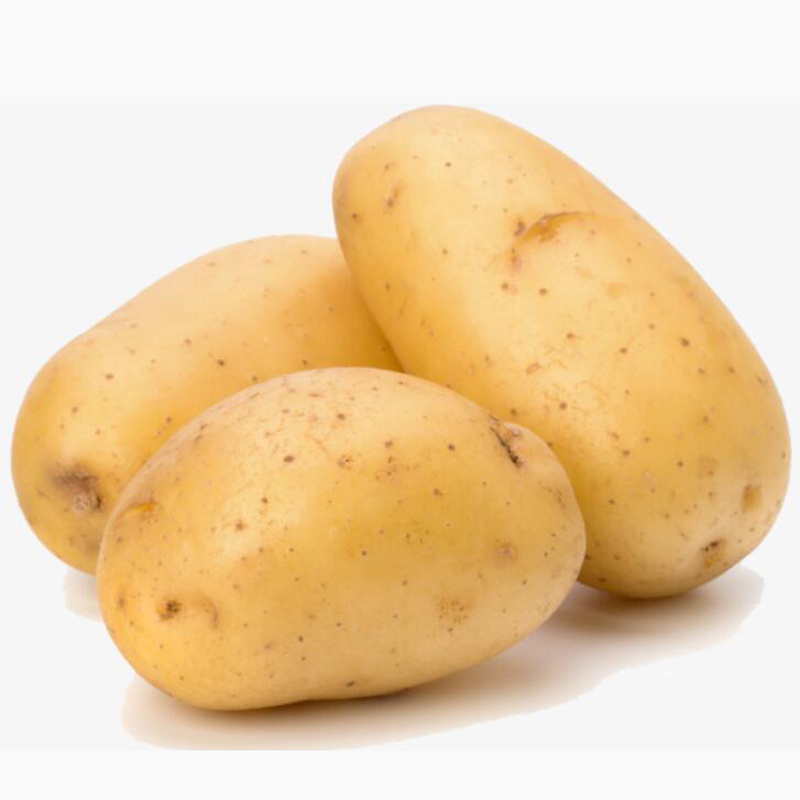 Fresh potato with high quality and good price potato powder