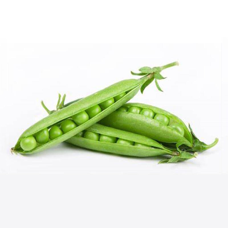 China sweet pea ISO and HACCP supplier frozen green peas