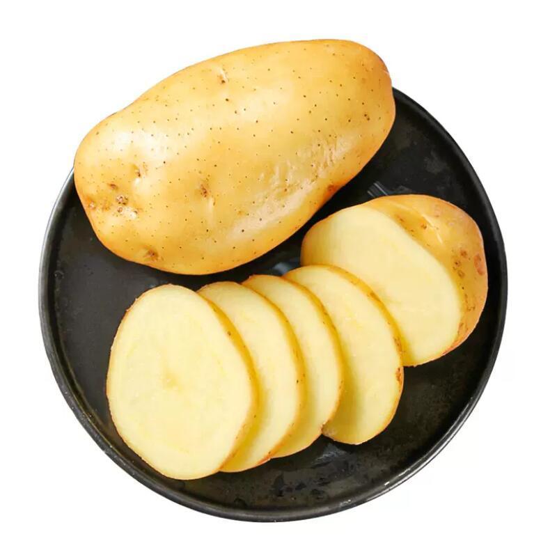 Fresh potato with high quality and good price potato powder