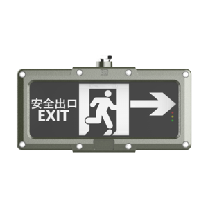 ATEX Certificated 1W 2W 3W 6W High Bright Flameproof LED Explosion Proof Emergency exit Lights