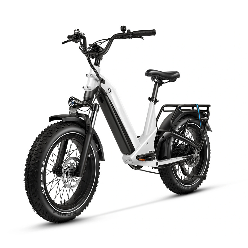 High Power 20'' e-bike 750w 1000w shock  retro vintage full suspension Fat Tire Snow Electric Mountain bicycle banana seat ebike