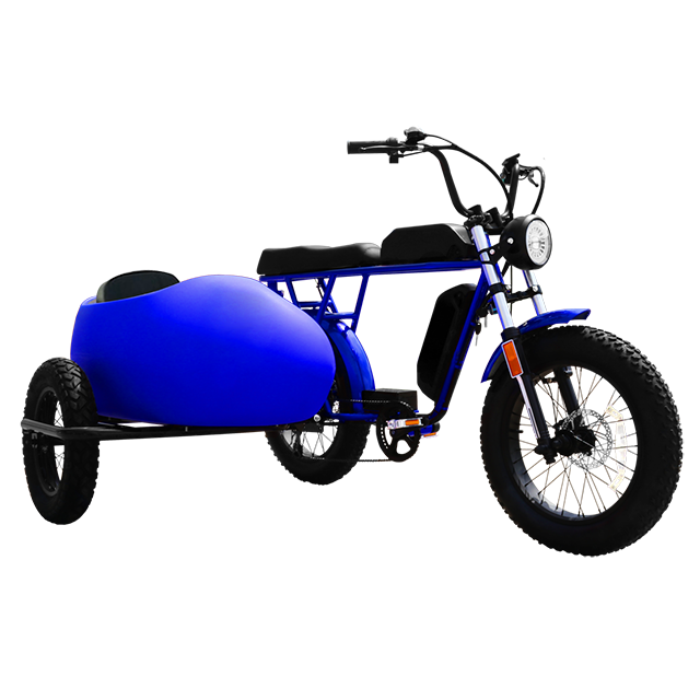 2023 Dual battery Electric Hybrid cargo Bike 48V 750W 1000W 52V 1500W 20*4.0 fat tire E-bike super 3 wheel ebike 73 side car