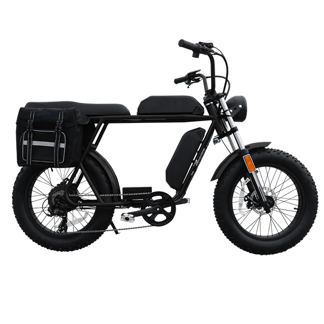 2023 Dual battery Electric Hybrid cargo Bike 48V 750W 1000W 52V 1500W 20*4.0 fat tire E-bike super 3 wheel ebike 73 side car