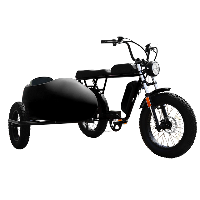 2023 Dual battery Electric Hybrid cargo Bike 48V 750W 1000W 52V 1500W 20*4.0 fat tire E-bike super 3 wheel ebike 73 side car