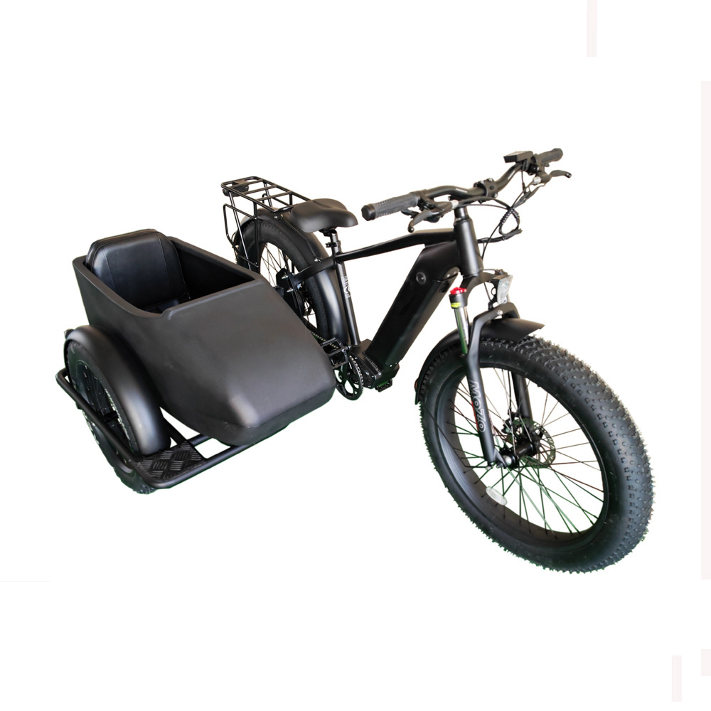 Safety 3 wheel fat tire delivery trailer 48V 750W electric bike with sidecar tricycle bicycle electric cargo bike with Side Car