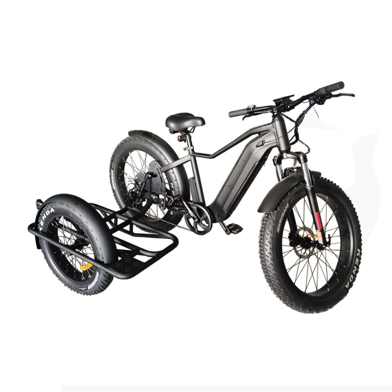 Safety 3 wheel fat tire delivery trailer 48V 750W electric bike with sidecar tricycle bicycle electric cargo bike with Side Car