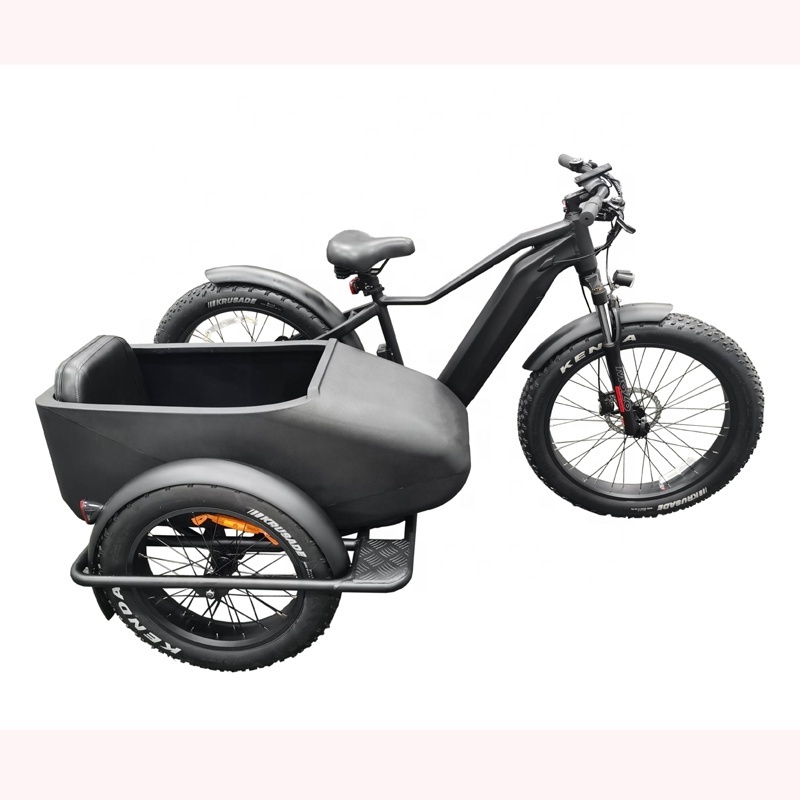 E bike Side Car Adult electric tricycle bicycle 3 wheel ebike electric cargo trike 750w hidden lithium battery etrike sidecar