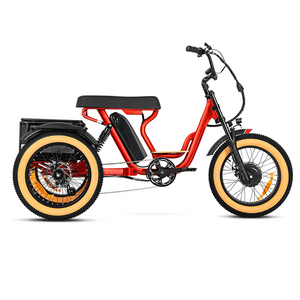 2023 super electric tricycles fat tire ebike 48V 750W 1000W hub motor Electric Cargo Bike 73 three wheel e-bike for women