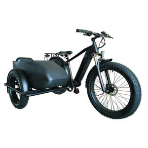 E bike Side Car Adult electric tricycle bicycle 3 wheel ebike electric cargo trike 750w hidden lithium battery etrike sidecar