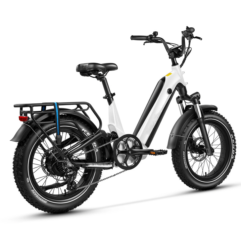 High Power 20'' e-bike 750w 1000w shock  retro vintage full suspension Fat Tire Snow Electric Mountain bicycle banana seat ebike