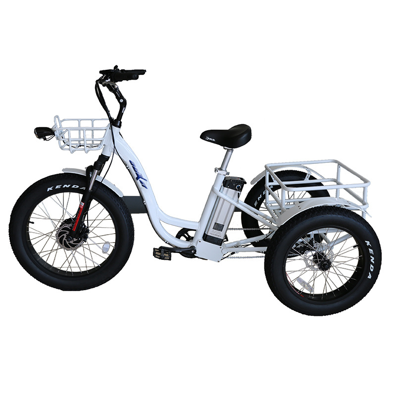 front 24 inch drive 48v 500w 750w 3 big wheel fat tire cargo electric tricycle bike