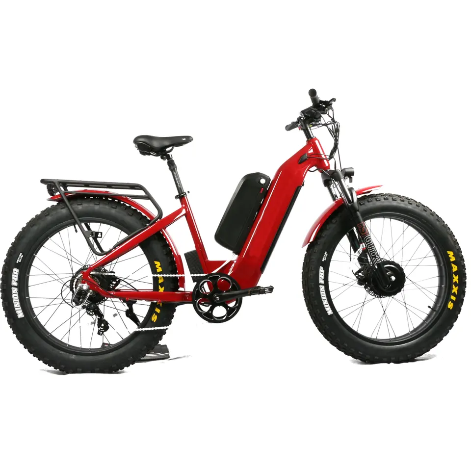 Front rear dual 48v 52v 750w 1000w 1500w motor & 20Ah battery adults fat tire electric dirt ebike mountain e mtb bicycle bike