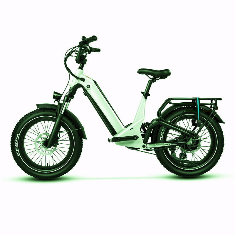 High Power 20'' e-bike 750w 1000w shock  retro vintage full suspension Fat Tire Snow Electric Mountain bicycle banana seat ebike