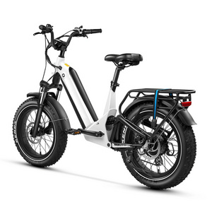 High Power 20'' e-bike 750w 1000w shock  retro vintage full suspension Fat Tire Snow Electric Mountain bicycle banana seat ebike