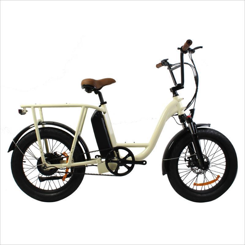 250w 350W 500W 750W 1000W city commute cargo e bikes cycle ebike fat tire snow Gates belt drive chainless commuter electric bike