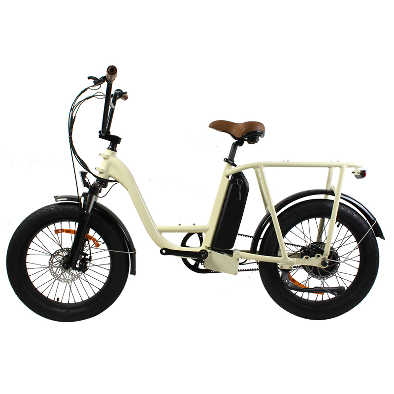 250w 350W 500W 750W 1000W city commute cargo e bikes cycle ebike fat tire snow Gates belt drive chainless commuter electric bike