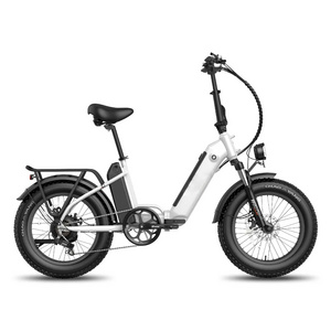 Warehouse E-bike 48v 500w 750w 1000w 12.8ah Electric Dirt Bike Mountain Ebike Adults Fat Tire Hybrid Folding Electric Bicycle