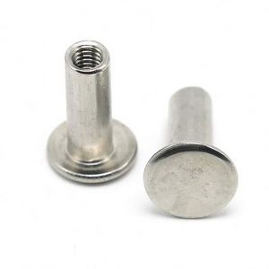 Wholesale Stainless Steel Flat Head Female Screw Hollow Rivet with Inside Thread